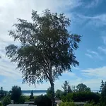 Casa vacanze Fischstuebchen Neeberg 6 - Seeadler *