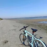 Fischstuebchen Neeberg 6 - Seeadler *