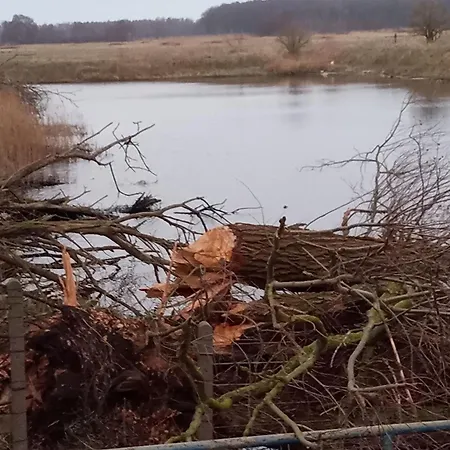 Holiday home Fischstuebchen Neeberg 6 - Seeadler *