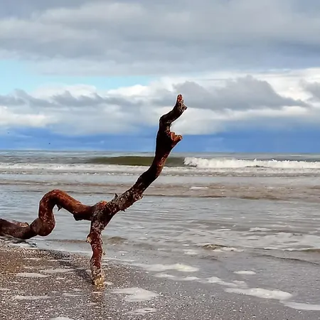 Fischstuebchen Neeberg 6 - Seeadler Krummin