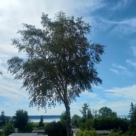Holiday home Fischstuebchen Neeberg 6 - Seeadler *