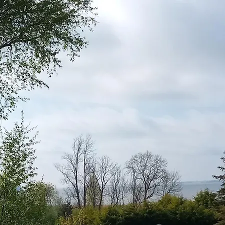 Fischstuebchen Neeberg 6 - Seeadler * Krummin