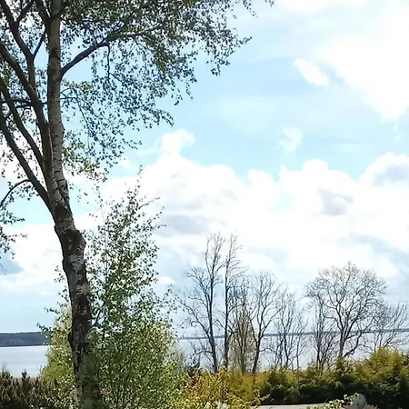 Fischstuebchen Neeberg 6 - Seeadler *