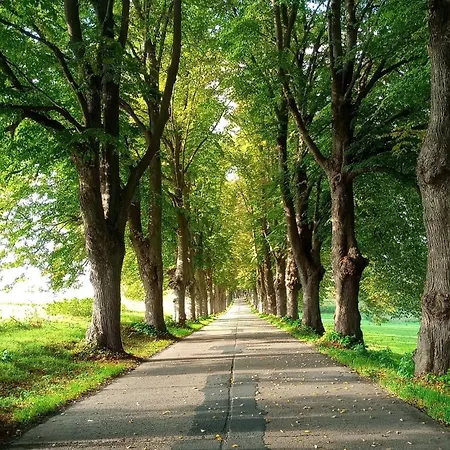 Fischstuebchen Neeberg 6 - Seeadler Дом отдыха Krummin