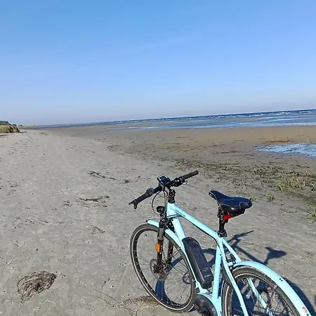 Fischstuebchen Neeberg 6 - Seeadler *