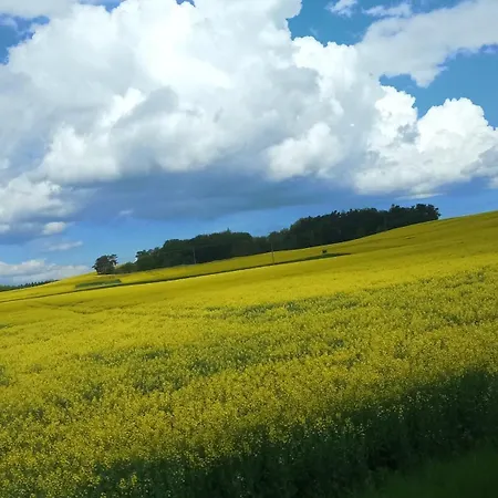 Fischstuebchen Neeberg 6 - Seeadler *