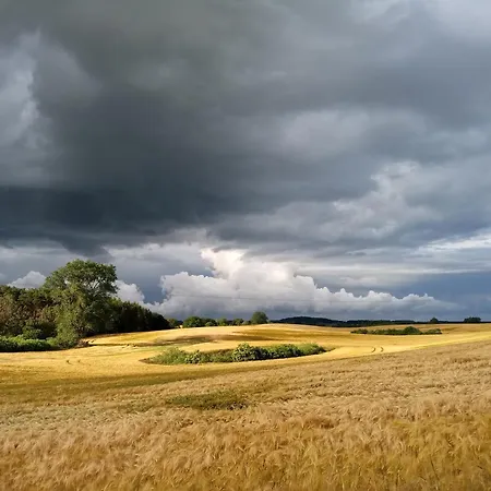 Fischstuebchen Neeberg 6 - Seeadler Дом отдыха *