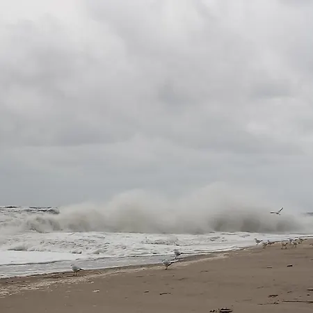 Fischstuebchen Neeberg 6 - Seeadler בית נופש *