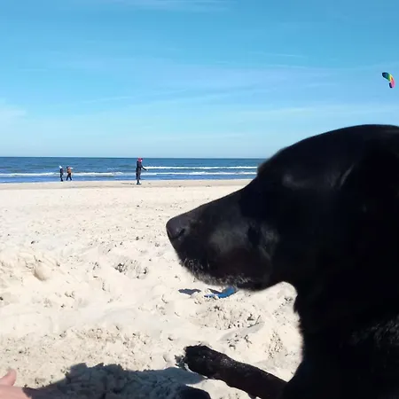 Fischstuebchen Neeberg 6 - Seeadler בית נופש