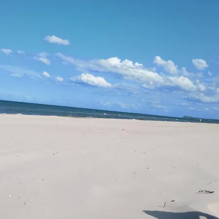 Fischstuebchen Neeberg 6 - Seeadler