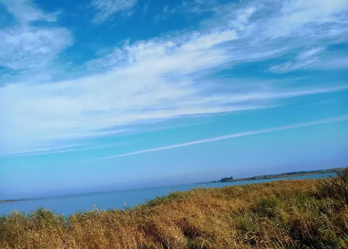 Fischstuebchen Neeberg 6 - Seeadler Dom wakacyjny *