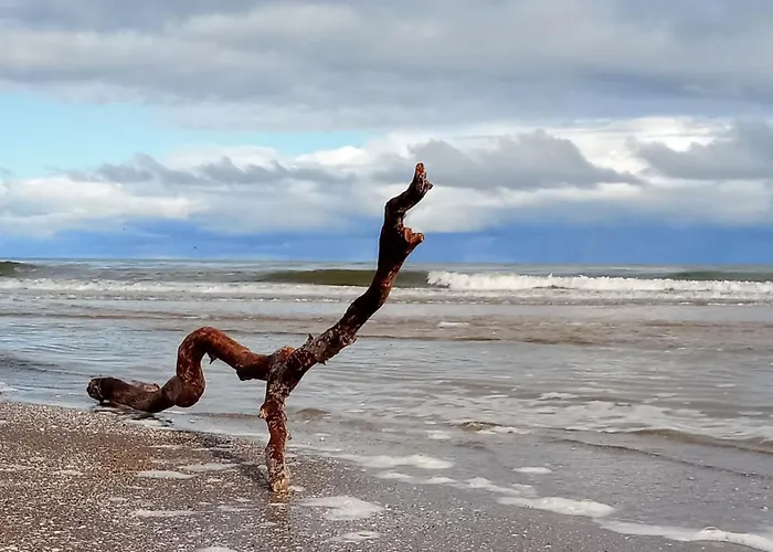 Fischstuebchen Neeberg 6 - Seeadler Krummin