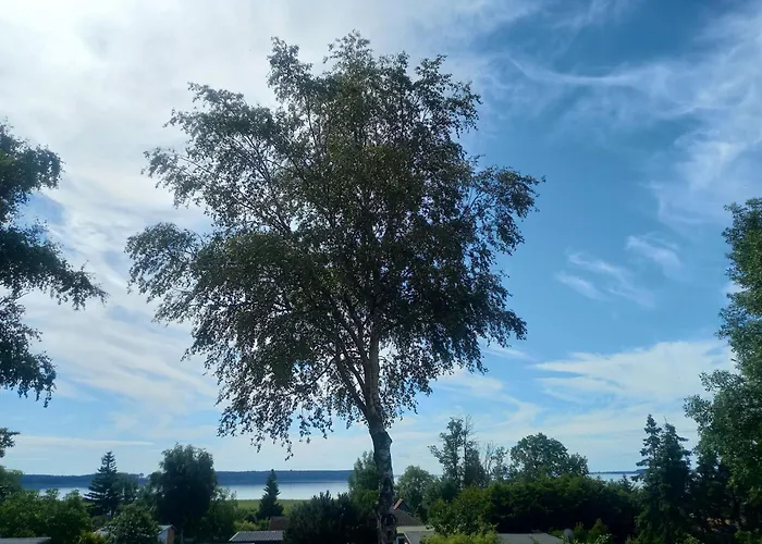 Dom wakacyjny Fischstuebchen Neeberg 6 - Seeadler *