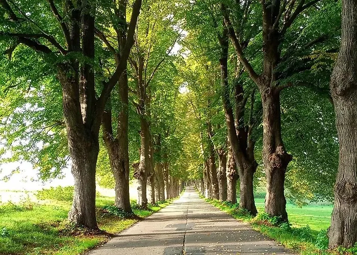 Fischstuebchen Neeberg 6 - Seeadler Dom wakacyjny Krummin
