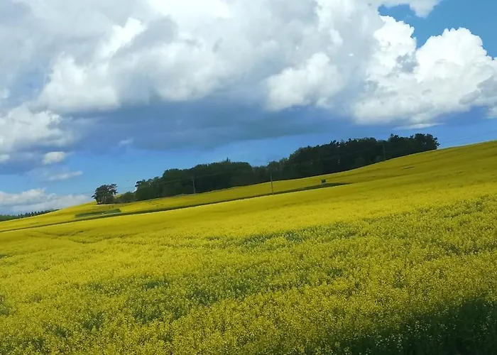 Fischstuebchen Neeberg 6 - Seeadler *