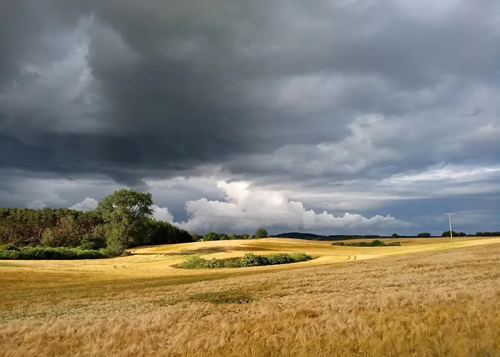 Fischstuebchen Neeberg 6 - Seeadler Dom wakacyjny *
