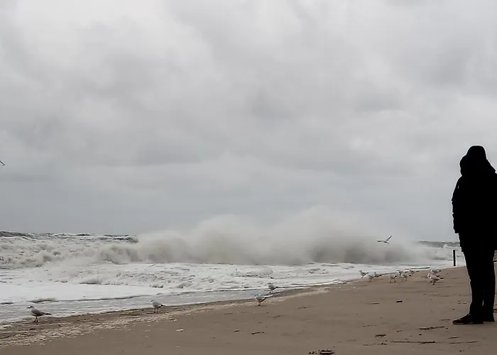 Fischstuebchen Neeberg 6 - Seeadler Dom wakacyjny *