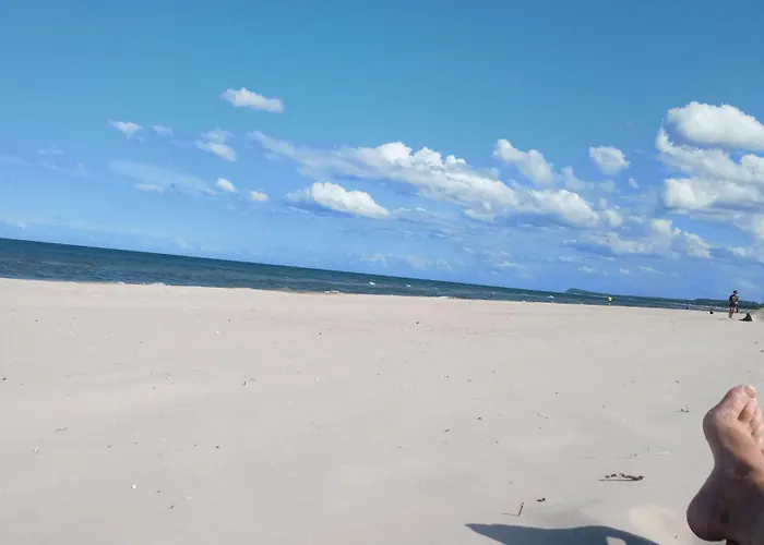 Fischstuebchen Neeberg 6 - Seeadler